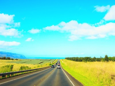 アロハ～！　オアフ島　ワイキキから　ノースショアまでの　道のり　自然にであう