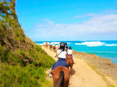 アロハ！　　オアフ島　ノースショア　海辺で乗馬　　