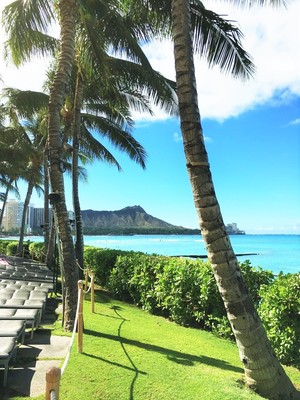 夏！　夏！　夏！　IN HAWAII　　ハワイ