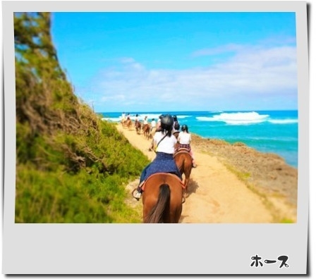 ノースショアで乗馬体験！　　　