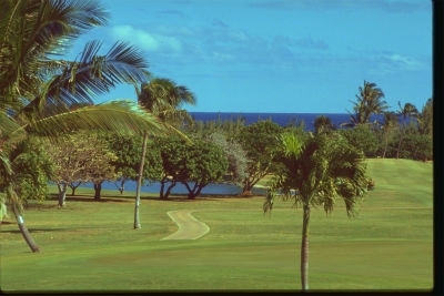 ハワイカイ・チャンピオンシップ　ゴルフコース   101