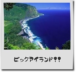 ＜ハワイ島＞　ロバーツ・ハワイ・ツアーで行くハワイ島1日観光　151