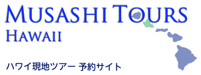 ハワイオプショナルツアー